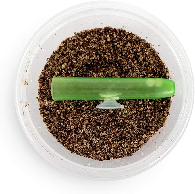 Josh's Frogs Egg Laying Tube with Suction Cup for Small Arboreal Geckos