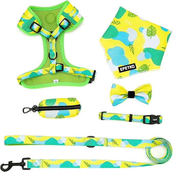 Small Dog Harness and Leash Set of 6, No Pull Soft Lightweight Mesh Puppy Harness， Adjustable Cute Floral Pattern Pet Harness for Small Medium Dogs (Green Leaf, S)