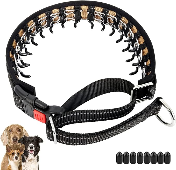 Mayerzon Martingale Collar for Dogs, No Pull Dog Collar with Reflective Strip for Small Medium Large Dogs, Anti Pulling Dog Collar with Buckle for Walking Training, Safe for Night Walk(Black, M)