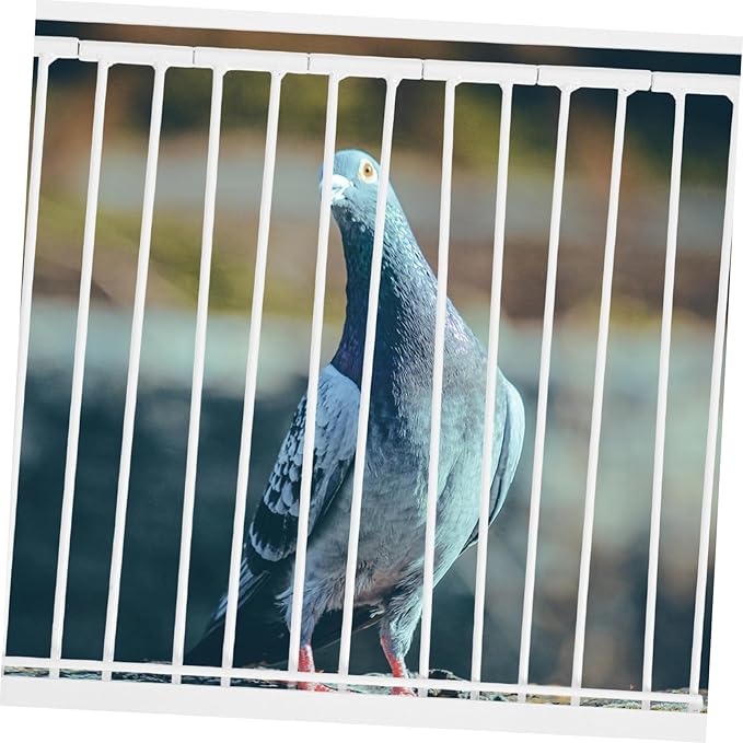 POPETPOP Iron Pigeon Entrance Door for Bird Cage Loft Racing Pigeon Safe Access Breeding Carrier Cage Replacement
