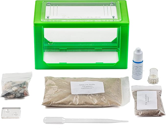 Anthouse.ES - 3D Aquarium-Style Natural Ant Farm - Sand Ant Farm - Complete Kit with Sand and Accessories - Starter Model 20x10x10 cm - Green Color