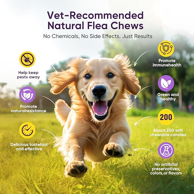 Dog Flea and Tick Treatment Chewable 200 Treatment Chews Natural Soft Chew Fleas Ticks Treatment Dog Oral Chewables Support Supplement Pest Defense Breeds and Ages Dogs Chicken Flavor