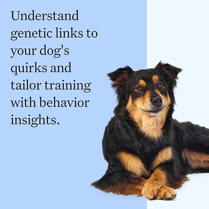 Wisdom Panel Breed Discovery Dog DNA Kit: Most Accurate Dog Breed Identification, Test for 365+ Breeds, MDR1 Health Test, Ancestry, Relatives