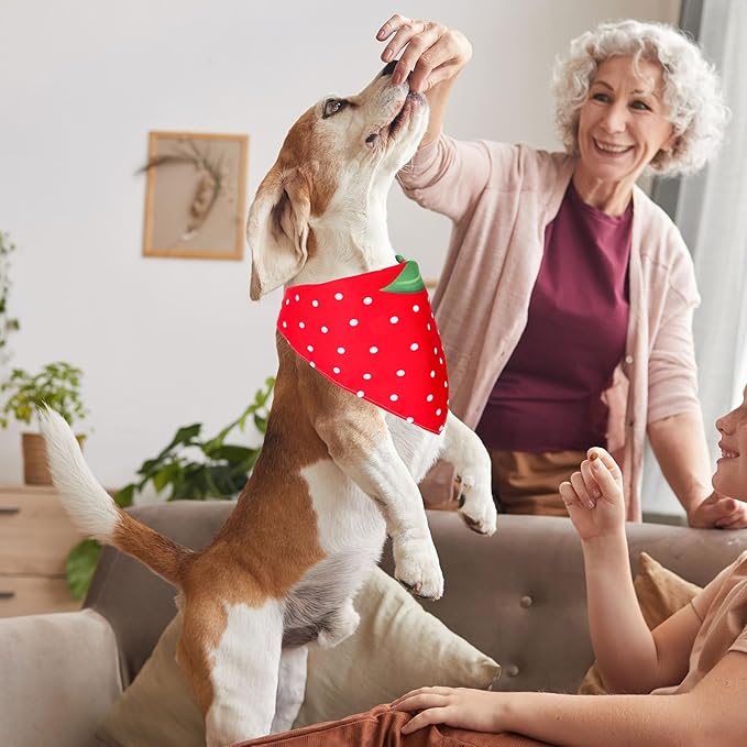 JarThenaAMCS 2Pcs Strawberry Dog Bandana Cute Summer Fruit Theme Triangle Pet Scarf Red Pink Adjustable Pet Neckerchief Bibs for Cat Dog Birthday Costume Accessories