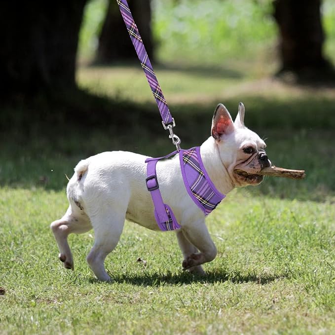 PUPTECK Soft Mesh Dog Harness and Leash Set Pet Puppy Cat Comfort Padded Vest No Pull Harnesses, Purple, XL