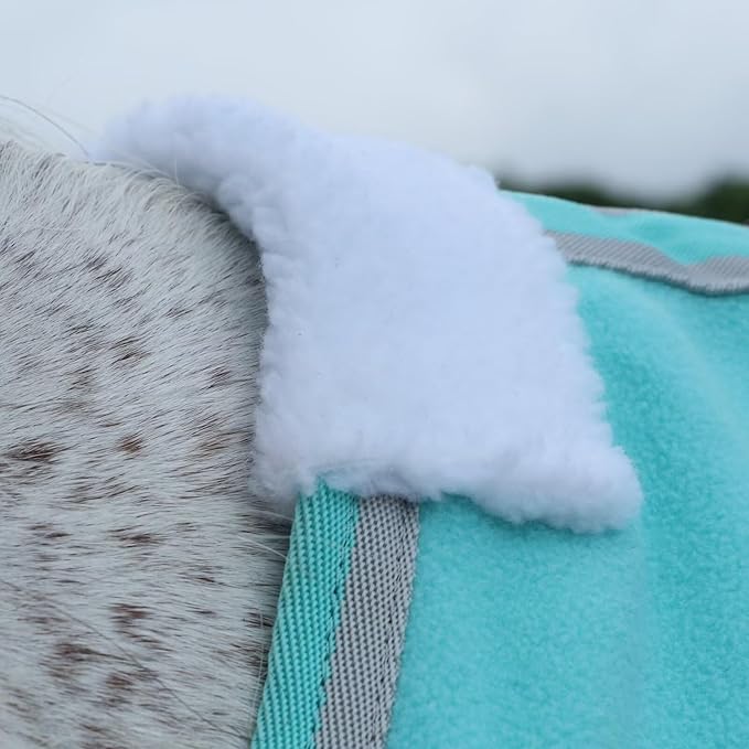 LEAFOREST Horse Fleece Blanket Polar Fleece Cooler Liner Soft Exercise Blankets for Horses Moisture Wicking Sheet in The Barn, Stable, Stall, Pasture, Paddock Green 81 inches