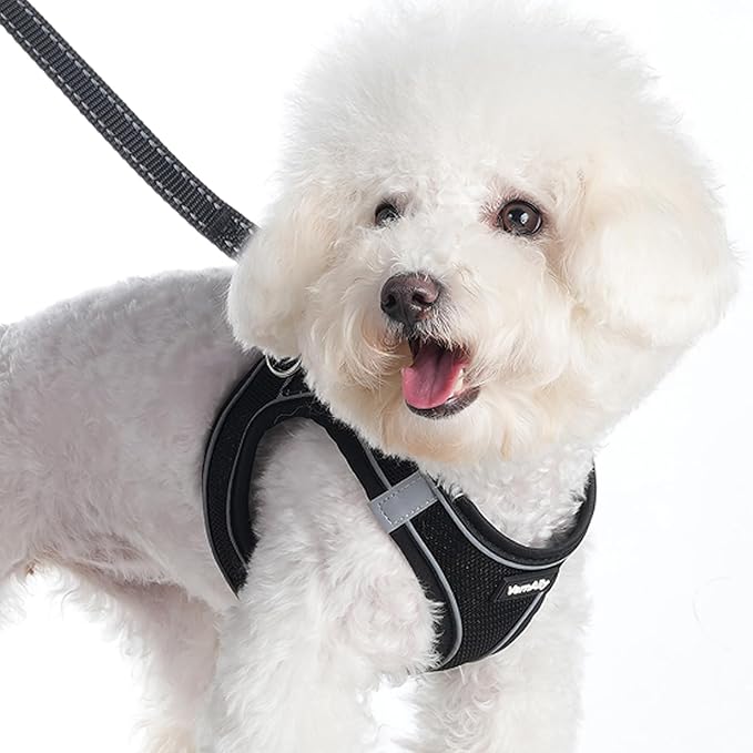 Sparkly Dog Harness Small Sized and Leash Set for Small Dogs Cats,Black S Puppy Harness, Step in Soft Dog Reflective Vest, Breathable Mesh Pet Harness. (Black, S)
