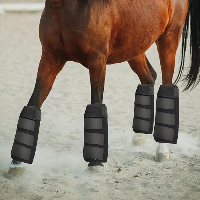 Generic 4Pcs Horse Boots Leg Protectors Adjustable Comfortable Neoprene Reusable Breathable Horse Protectors Equipment Set, Black, L