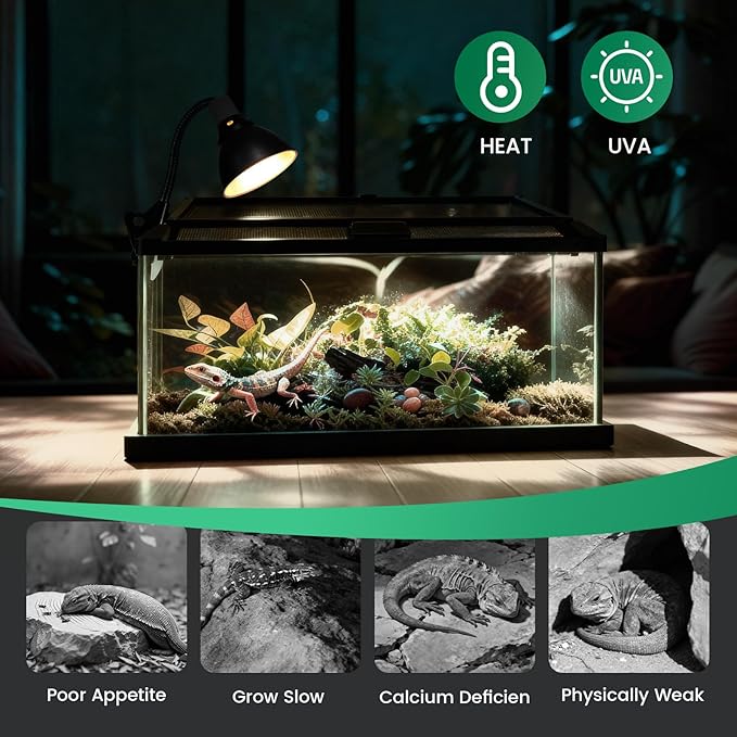 Reptile Heat Lamp Bulbs 150W (2-Pack) – Efficient Heating & Simulated Sunlight Basking Light for Amphibians, Bearded Dragon, Lizard, Turtle, Chicken – E26 Base