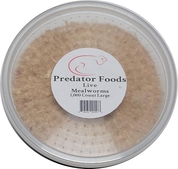 Predator Foods Bulk Live Mealworms - 1,000 Count (Large - ~.75")