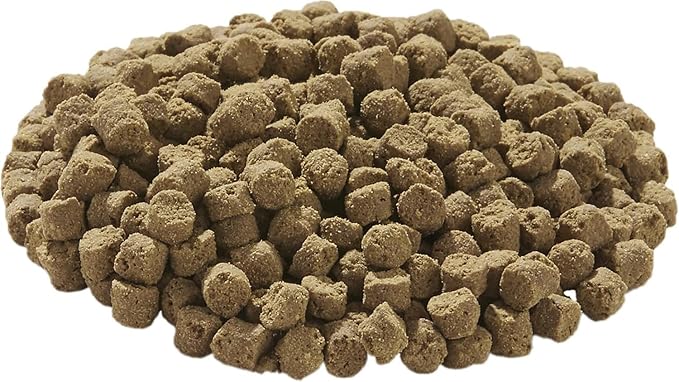 Tetra TetraFauna Hermit Crab Cakes 1.58 Ounces, Food Pellets for All Land Crabs, 100ml (16976) (Pack of 2)