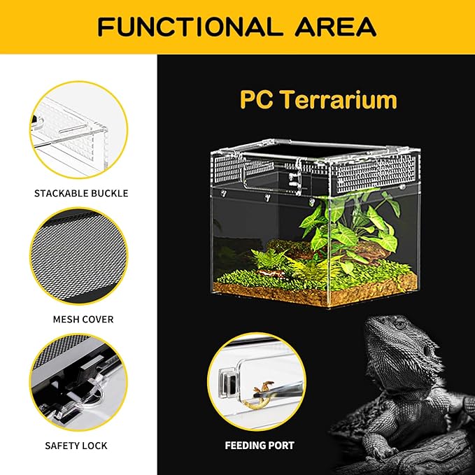 Reptile Mini PC Terrarium Amphibian Tank, 8"x8"x6"Jumping Spider Enclosure Multi-Habitat Reptile Terrarium for Tarantula, Hermit Crab, Insect, Fish, Frog, Small Bearded Dragon, Lizard
