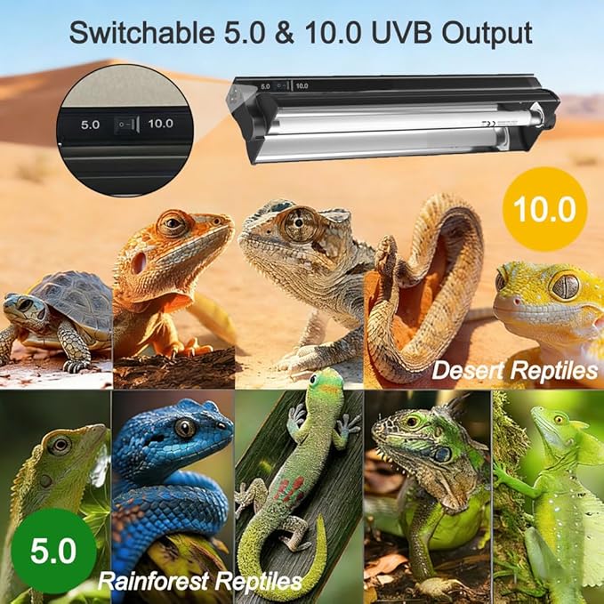 T5 HO UVB Reptile Light Fixture Combo Kit, Switchable 10.0 & 5.0 UVB Bulb, 8W Fluorescent Tube 12 Inch UVA/UVB Output Lamp for Rainforest Species and Desert Reptiles