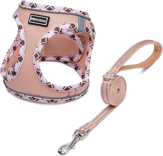 Mercano Soft Mesh Dog Harness and Leash Set, No-Chock Step-in Reflective Breathable Lightweight Easy Walk Vest Harnesses with Safety Buckle for Small Dogs, Cats (Champagne, L)
