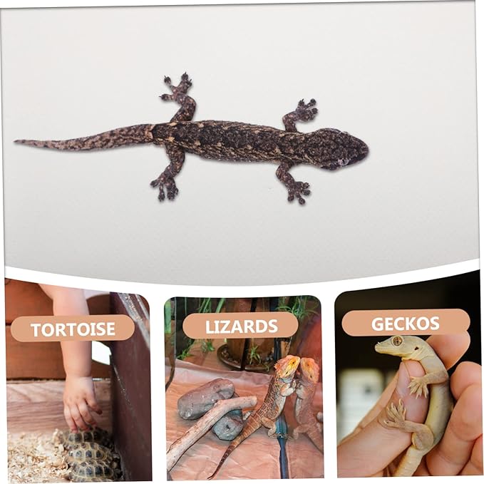 POPETPOP Reptile Carpet Substrate Mat Soft Terrarium Liner for Bearded Dragons Snakes Tortoises and Geckos Lightweight Bedding for Reptile Tanks and Outdoor Use