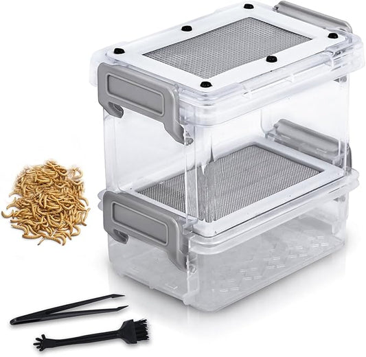 Mealworm Breeder Kit - Live Mealworm Rearing & Feeder for Reptiles, Turtles, Bearded Dragons, Leopard Geckos, Birds and Chickens (1.5-3cm)
