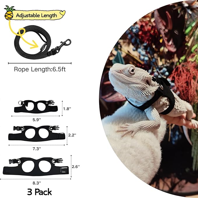 Bearded Dragon Harness Leash Set Harness 3PC S/M/L Soft Leather Vest Outdoor Walking Control Traction Rope for Lizard Reptile Iguana Gecko (Black)