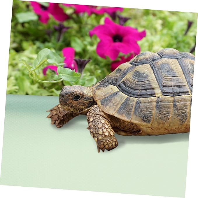 Reptile Carpet for Reptiles Snakes Terrarium Liner Snake Bedding Vivarium Accessories Easy to Carry