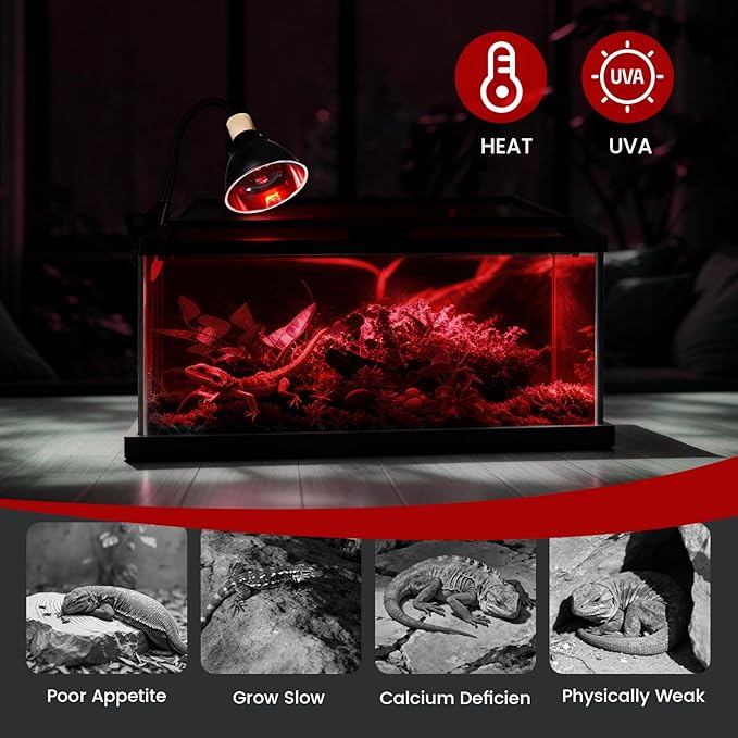 75W Infrared Heat Lamp Bulbs – 2-Pack Red IR Basking Light for Reptile & Amphibian, Silent Night-Time Heating, E26 Base, Bearded Dragon,Lizard,Turtle,Chicken