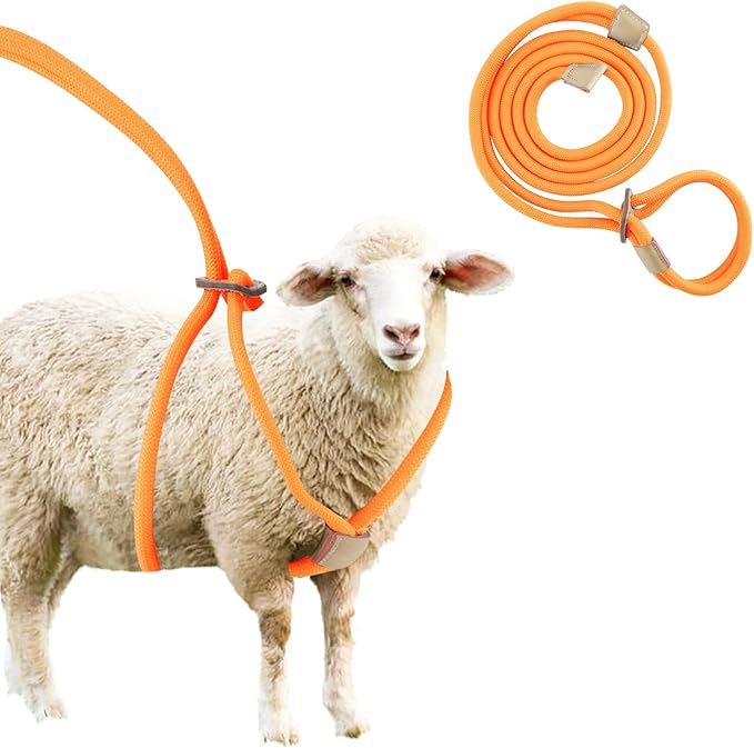 Goat Harness, Goat Supplies, Goat Harness for Walking, Washable Goat Leash, Goat Accessories, Livestock Supplies for Goats, Sheeps
