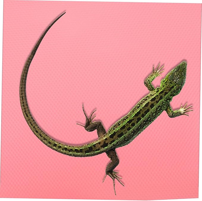 Reptile Carpet EVA Soft Substrate Mat for Bearded Dragon Gecko Snake Tortoise Terrarium Liner Washable Non-Absorbent Tank Flooring Accessories