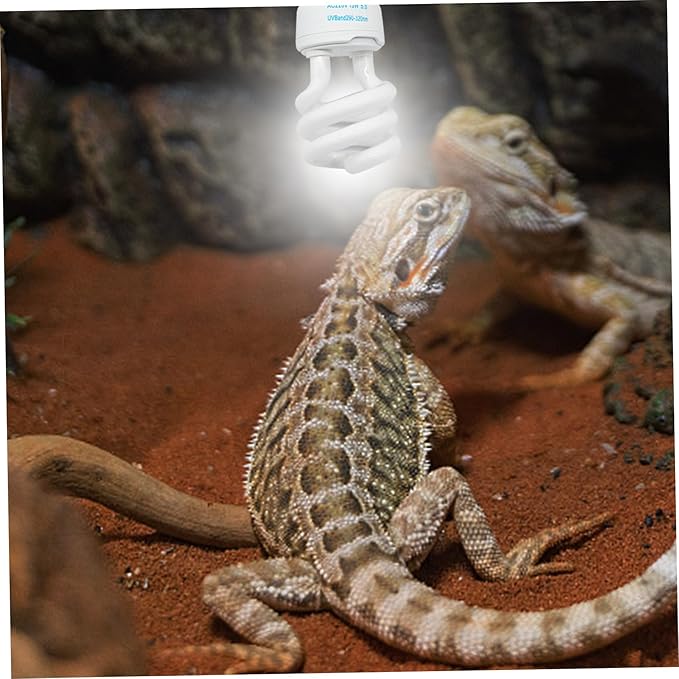 UVB Bulbs for Reptiles 5.0 UVB E27 Interface Subtropical Reptile Light Blue White Lighting Reptile Light Fixture for Turtle Chameleon, 13W