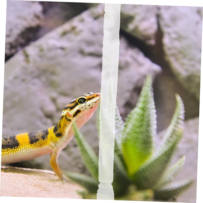 BESPORTBLE Reptile Humidifier Extension Tube for Tank Terrarium Supplies Stretchable Hose Suction Cup