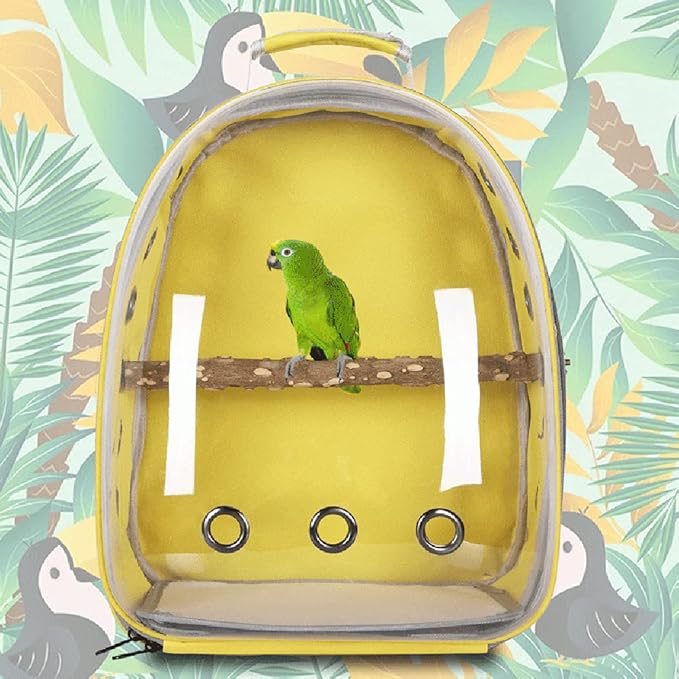 Bird Traval Carrier Cage, Clear Space Capsule Backpack to Carry Parakeet Cockatiel, Vet Transport School Bag (Black)
