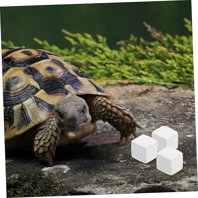 TOYANDONA 6pcs Natural for Pets Essential Chew Toys for Birds Parakeets Reptiles Turtles Chinchillas and Gerbils Sustained Mineral Supply for Healthy Teeth