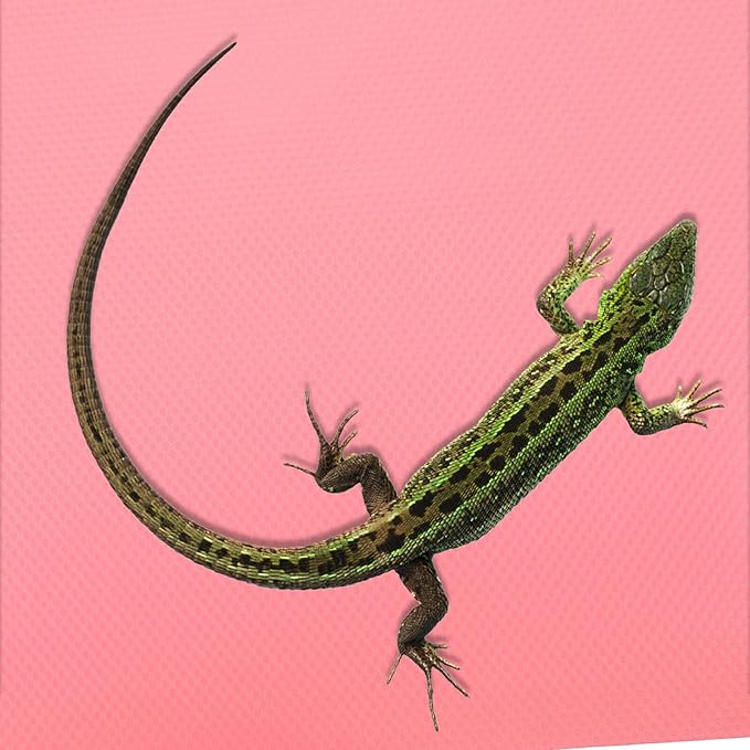 Reptile Carpet EVA Soft Terrarium Liner for Bearded Dragon Leopard Gecko Snake Tortoise Bedding Mat Non-Adhesive Substrate for Lizard Tank