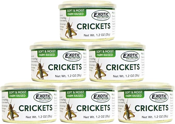 Canned Crickets 1.2 (6 Pack) - Healthy High Protein Insect Treat - Hedgehogs, Sugar Gliders, Reptiles, Wild Birds, Chickens, Lizards, Bearded Dragons, Skunks, Opossums, Fish, Amphibians, Turtles