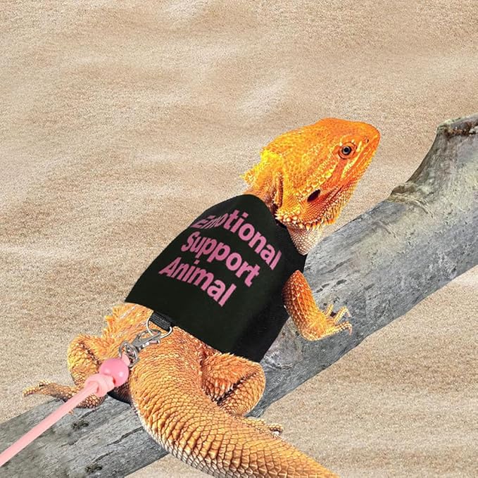 DONGKER Bearded Dragon Harness and Leash Set,Self-Adhesive Adjustable Lizards Walking Training Harness Escape Proof with 4.4ft Nylon Leash for Outdoor Indoor Walking
