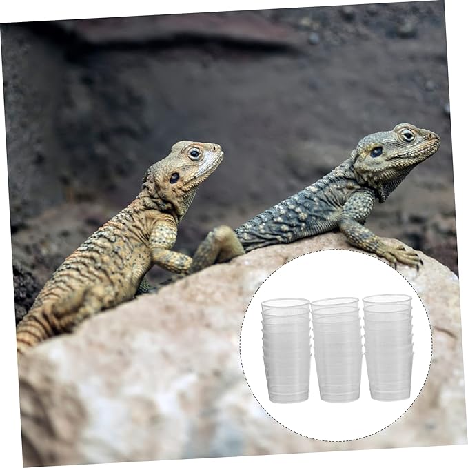 Kisangel 40pcs Reptile Food Measuring Cups Feeding Bowls for Lizards and Geckos Scales for Easy Measurement and Daily Convenience