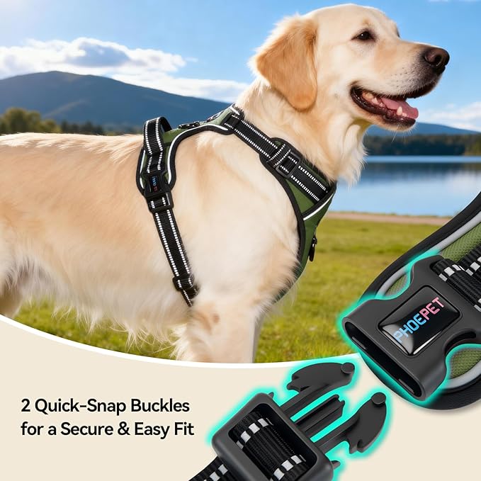 PHOEPET No Pull Dog Harness with Handle Reflective Padded Vest for Small Medium Large Dogs, Adjustable Puppy Harnesses with Front & Back Clip Easy Walking (M, Misty Green)