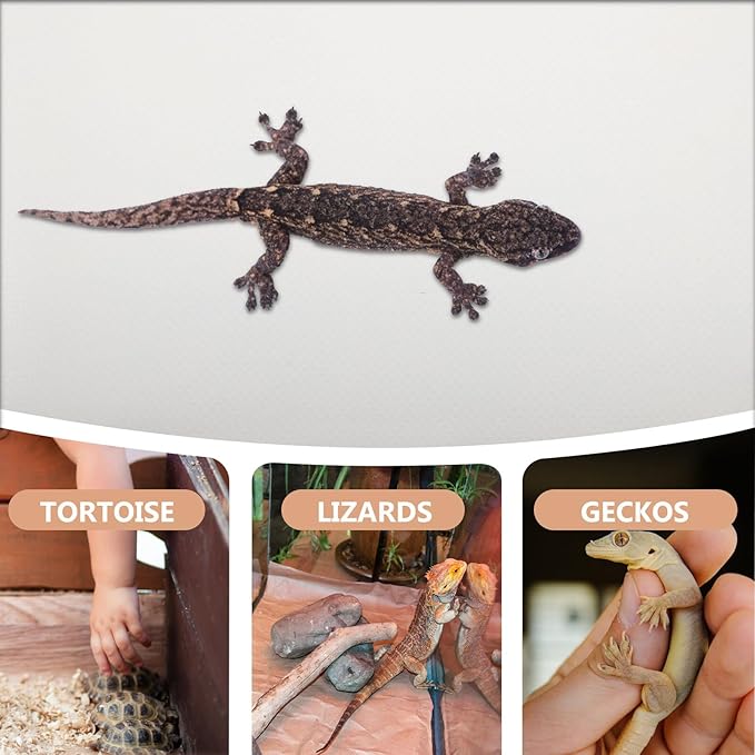 jojofuny Reptile Carpet Substrate Pad Large Non-Adhesive Terrarium Mat for Bearded Dragon Lizard Snake Tortoise Tank Accessories Easy-Clean Reptile Liner