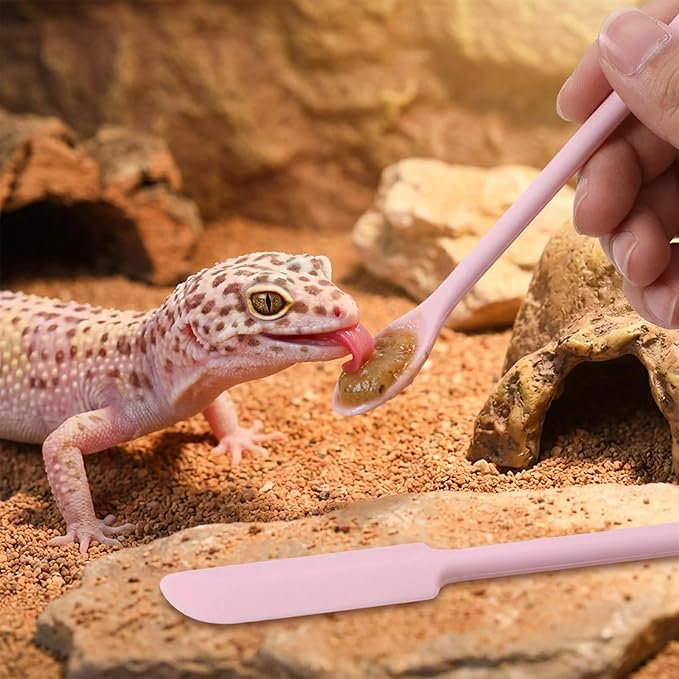 EupHHonycs 2Pcs Crested Gecko Food Mixing Spoon Long Handle Reptile Fruit Mixing Stirring Food Feeding Spoon Feeding Tool Fit Crested Gecko Gargoyle Bearded Dragon