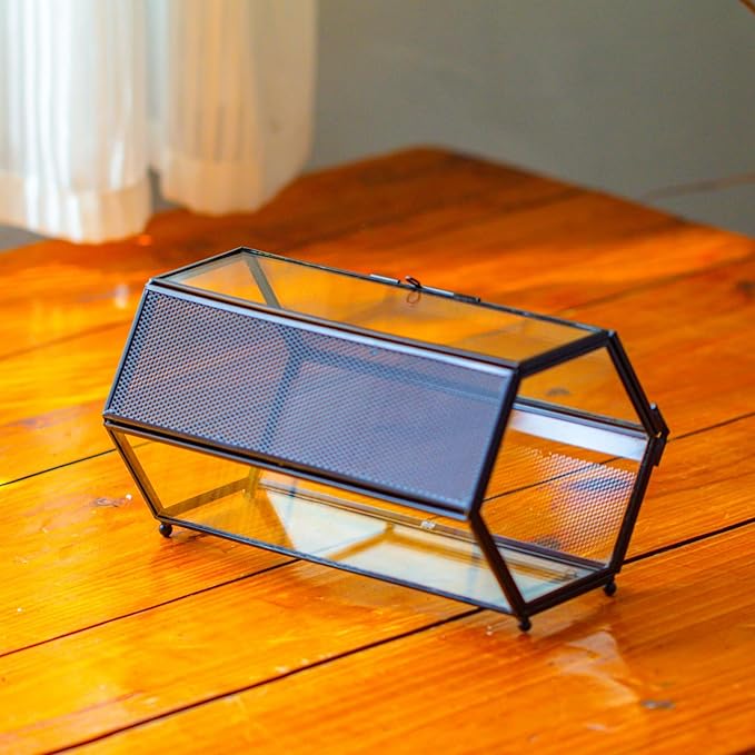 NCYP Small Glass Enclosure Terrarium with Mesh & Door for Tiny Beetle - Hexagon Jumping Spiders Vented Glass Terrarium 7.87'' x 4.52'' x 3.93'', Black (Plants Not Include)