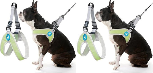 Gooby Simple Step in III Harness - Green, X-Small - Small Dog Harness with Scratch Resistant Outer Vest - Soft Inner Mesh Harness for Small, Medium Dogs (Pack of 2)