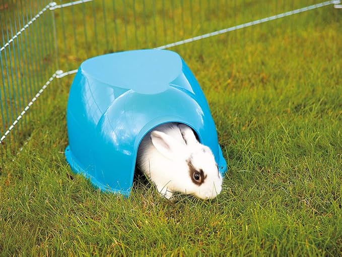 Savic Cocoon Small Animal House for Dwarf Rabbits, Guinea Pigs, Ferrets, Rats and More (Blue)