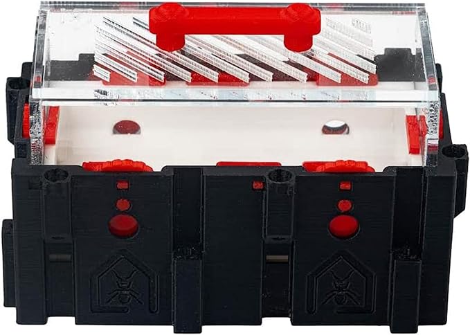 Anthouse.ES - Foraging Box for Modular 3D Ant Farms - QBIK Duo - Ideal Terrarium for Mini Colonies - Ergonomic and Easy-to-Expand System - 6.78x12.78x10 cm