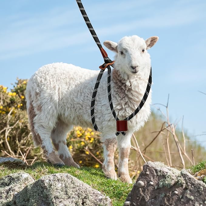 Goat Harness & Leash, Adjustable Step-in Sheep Harness, Goat Accessories, Livestock Halter Supplies for Goats and Sheep (Large)