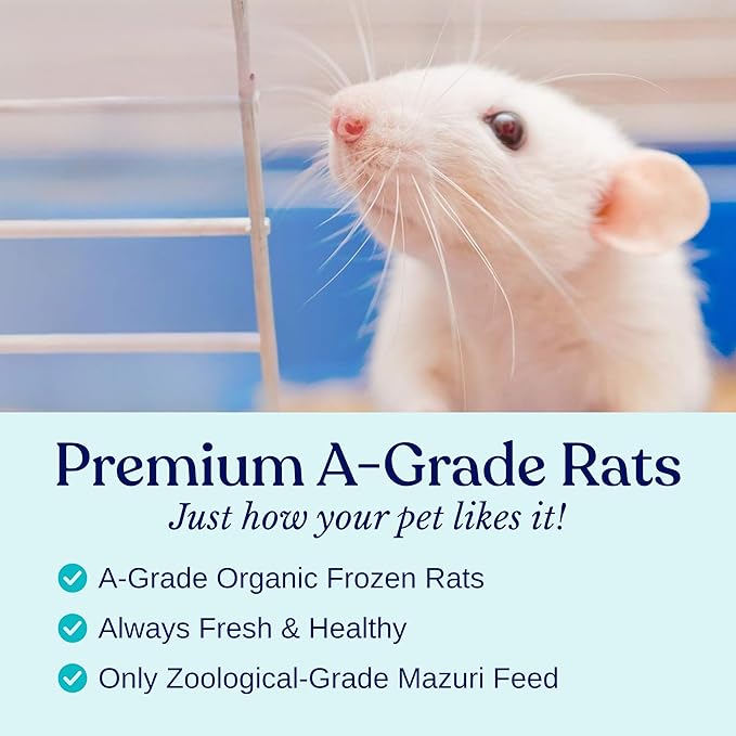 MiceDirect 125 Frozen Rat Fuzzies Feeders Snake Food for Adult Corn Snakes Ball Pythons (2-2.5 in)(1125 Grams Min)