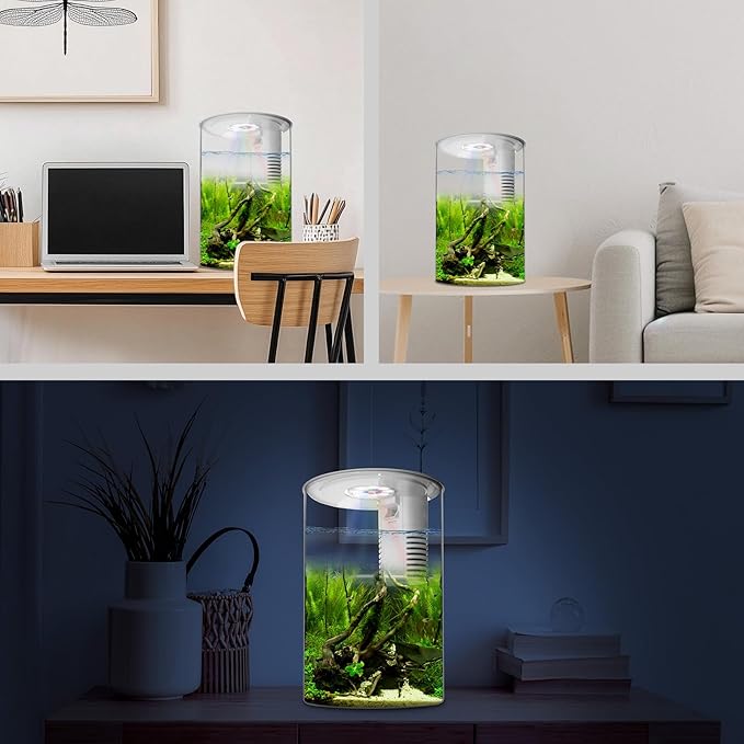 Fish Tank Night Light, 3 Gallon Fish Tank with Filter and Light, Self-Cleaning Desktop Aquarium Starter Kit & LED Lamp, 360 View for Small Fish, Kids Room & Home Decor(7 Color Modes, White)