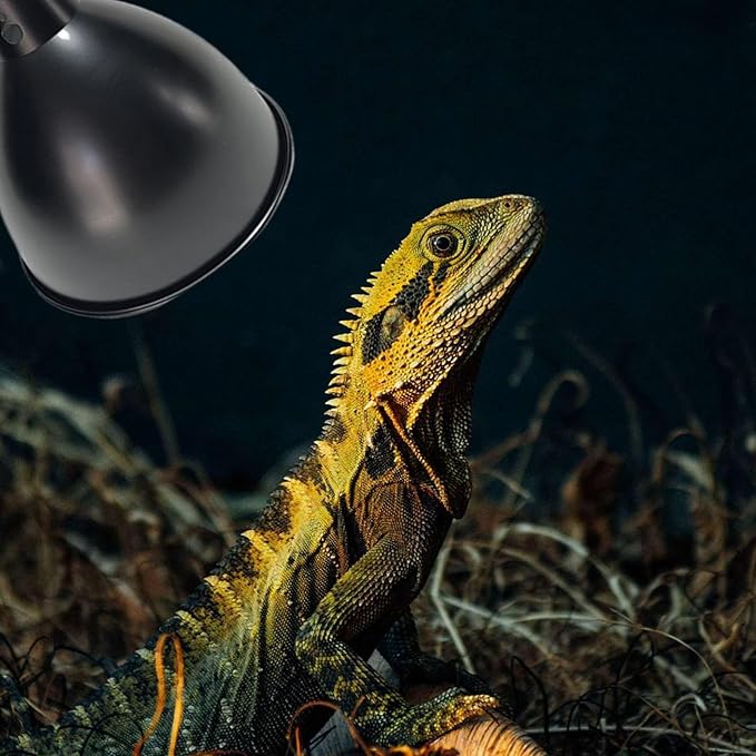Terrarium Light Fixture - Reptile Heat Lamp Fixture with Deep Dome Design, UVB Bulb Reflector | Heat Bulbs Basking Lamp Holder, Optical Reflection Cover for Lizards, Turtles, and Amphibians