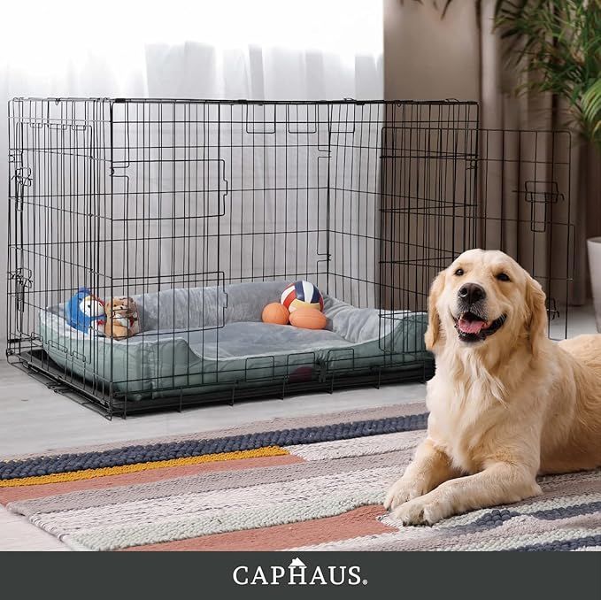 CAPHAUS Foldable Dog Crate Wire Metal Dog Kennel w/Divider Panel, Leak-Proof Pan & Protecting Feet, Single & Double Door, Small, Medium & Large Dog Crate Indoor Wire Dog Cage, 36” w/Double Doors