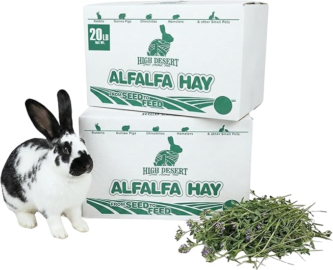 High Desert Alfalfa Hay, Protein Rich Soft Leaf Food for Young Growing Animals, Natural Rabbit Food and Guinea Pig Hay, Supports Digestive Health, Small Pet Supplies, Fresh Hand, Pack of 2, 10 Lb Box