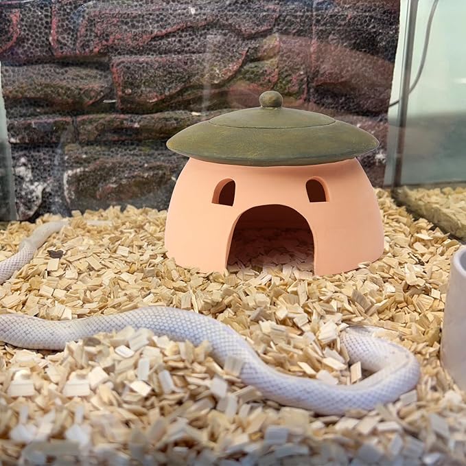Terracotta Reptile Cave with Green Lid - 8 * 6 Inches Hiding Place for Toad, Frog, Turtle, Lizard