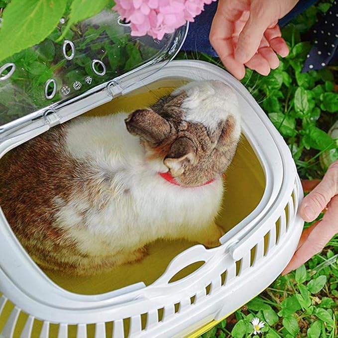 Ferplast Rabbit, Guinea Pig and Rat Carrier ALADINO Large, Large Pet Carrier for Hamster, Rodents, Rabbits, Transparent Cover with Comfortable Handle, Secure Closing, 36 x 26 x h 23 cm, Green