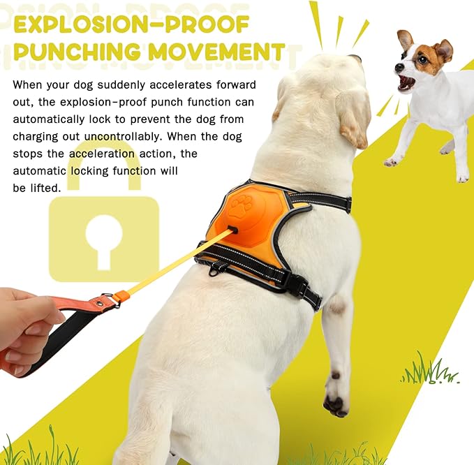 2-in-1 No Pull Dog Harness & Retractable Leash - Large Dog Harness with Auto-Lock, Reflective & Adjustable-L