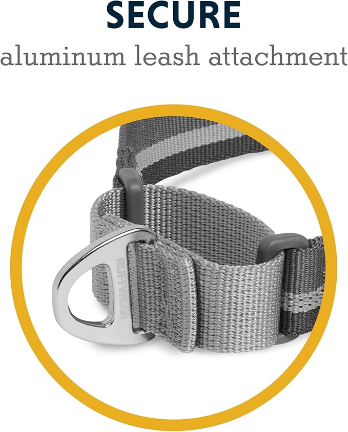 Ruffwear, Web Reaction Dog Collar, Escape-Proof Security Buckle, Adjustable Anti-Slip Martingale Collar with Durable Nylon Tubelok Webbing & Silent ID Attachment, Granite Gray, 23"-26"